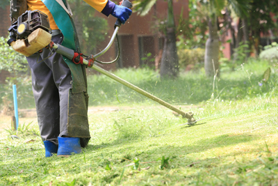Green Spaces Maintenance